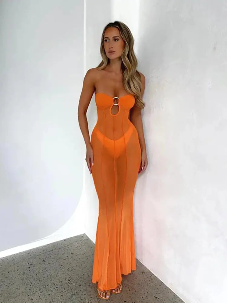 Mesh Patchwork See-Through Maxi Dress Little Addiction